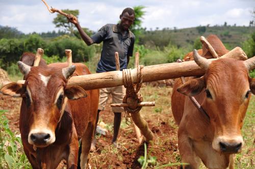 Farming-2